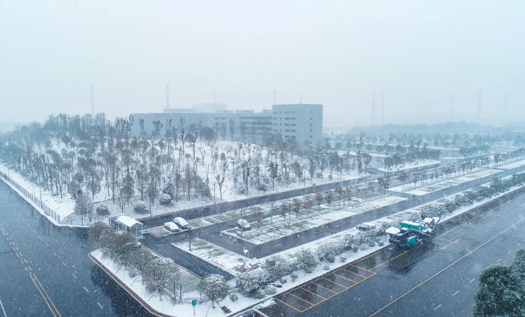 瑞雪兆丰年，邀您共赏雪中9001cc金沙以诚为本！
