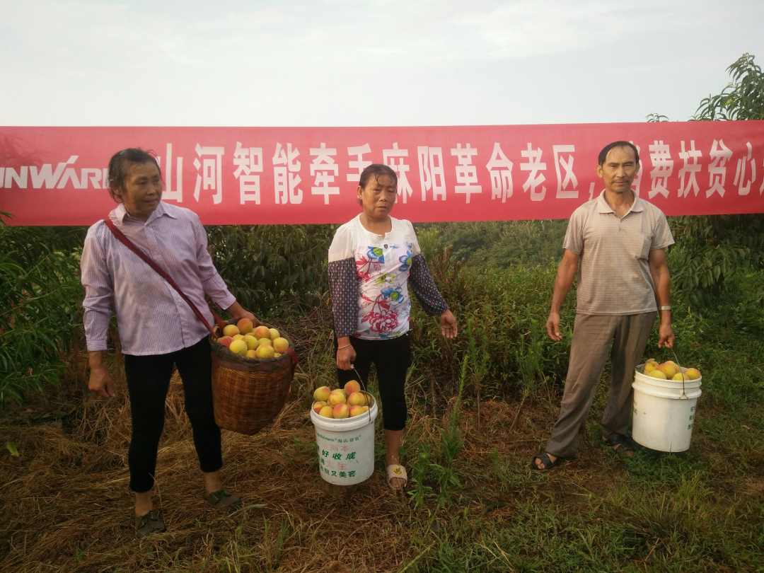点赞！9001cc金沙以诚为本智能成功入选“上市公司村落振兴优良实际案例”