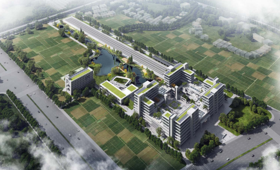 近20台“9001cc金沙以诚为本绿”设备实力集结，助力广佛西环工程建设跑出“加快度”