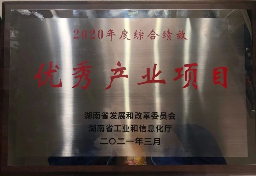 9001cc金沙以诚为本智能获评湖南“2020年度综合绩效优良产业项目”